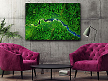 Obraz na stenu Dažďový prales, les rain forest